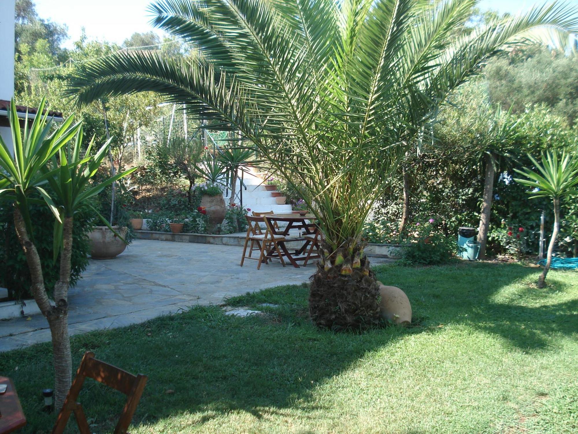 Villa Avra Dassiá Exteriér fotografie