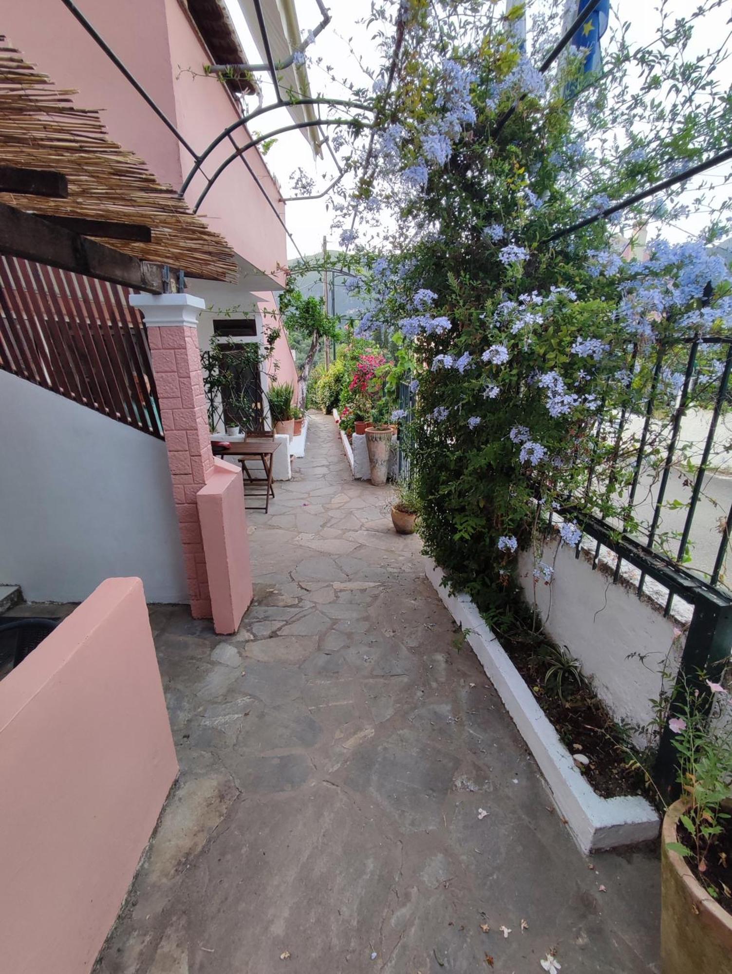 Villa Avra Dassiá Exteriér fotografie