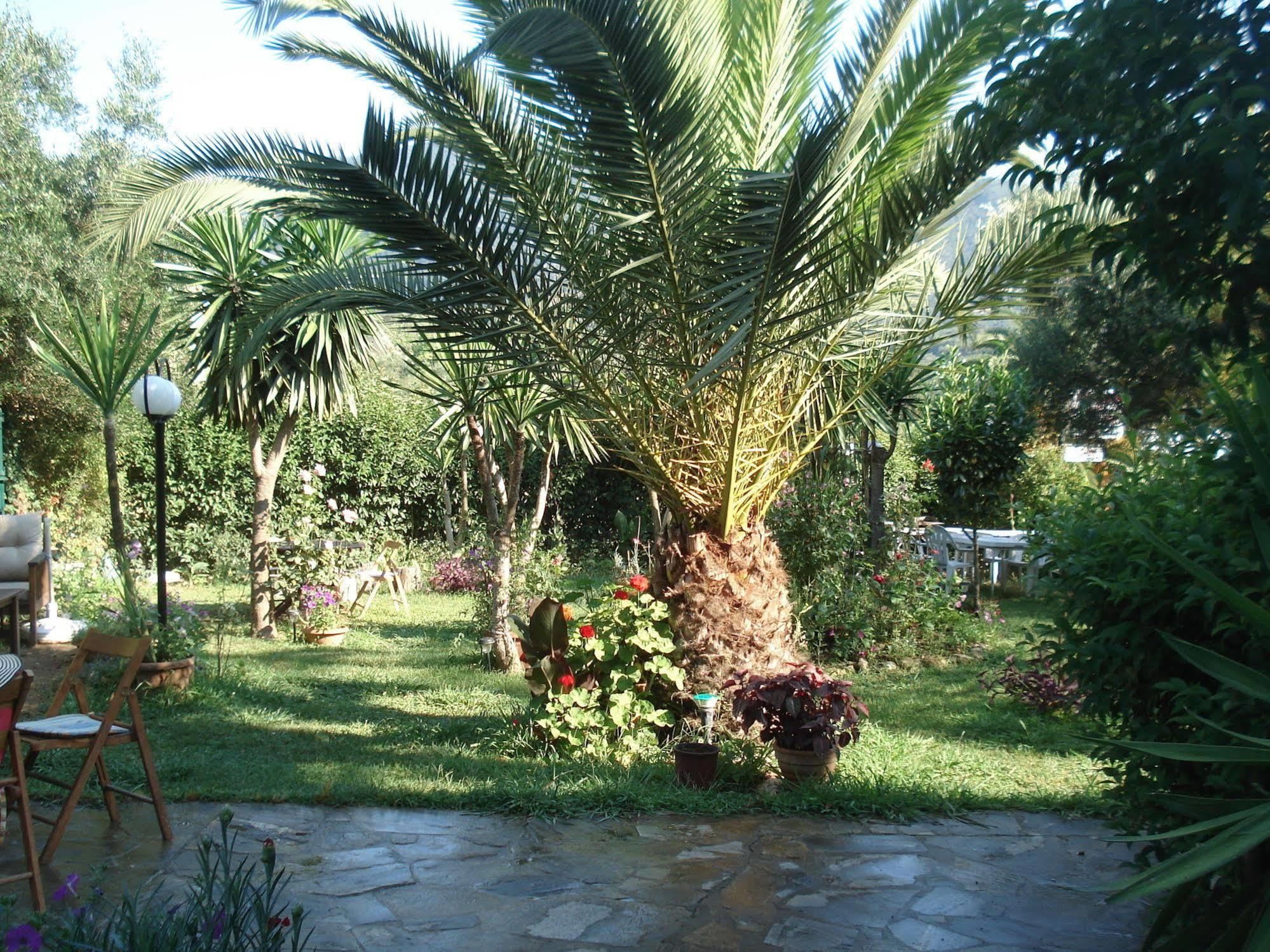 Villa Avra Dassiá Exteriér fotografie