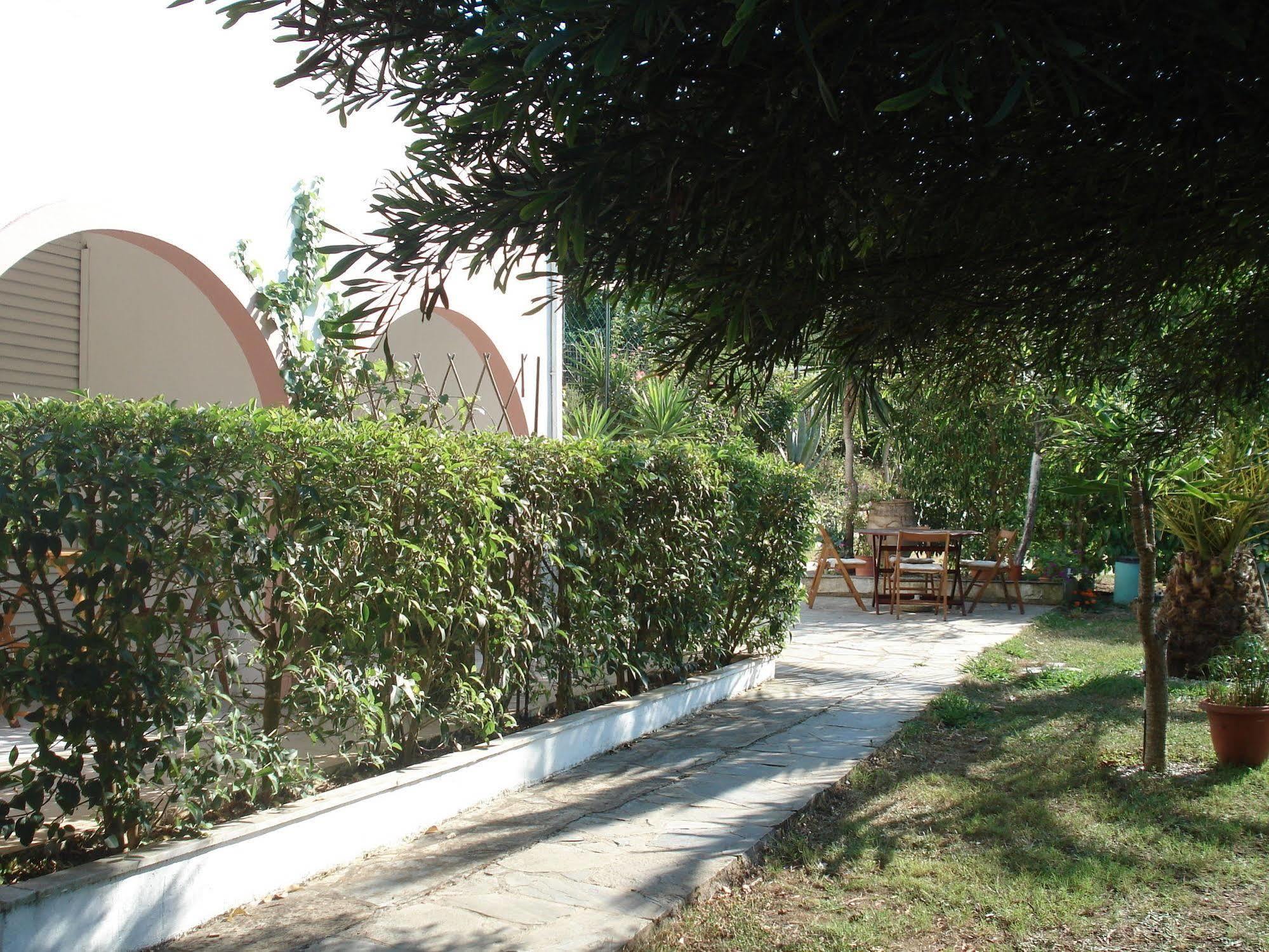 Villa Avra Dassiá Exteriér fotografie