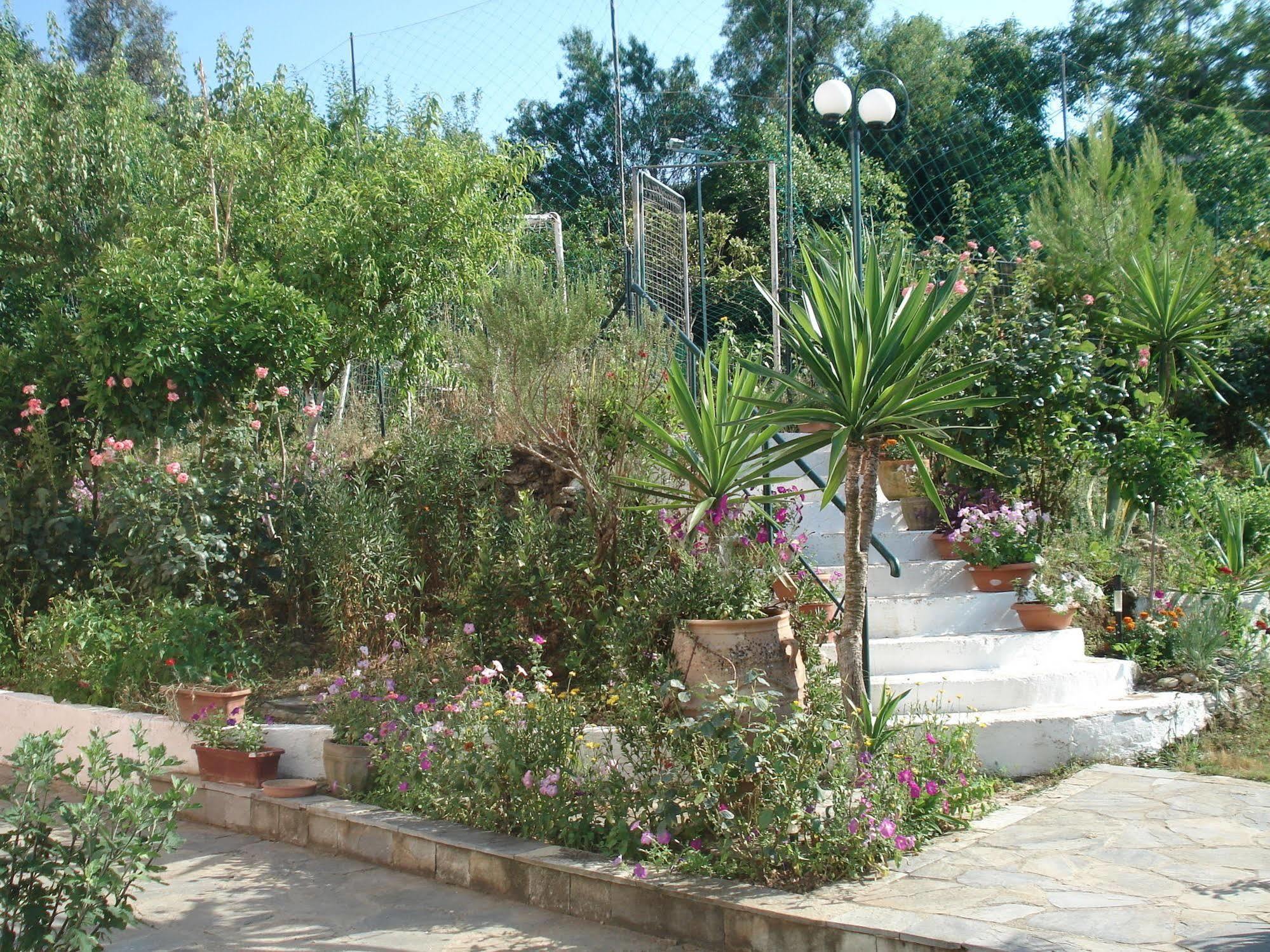 Villa Avra Dassiá Exteriér fotografie