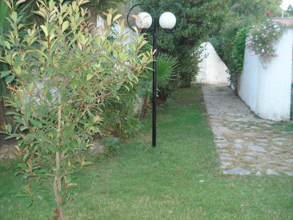 Villa Avra Dassiá Exteriér fotografie